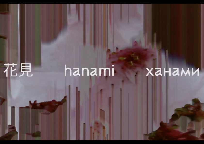 Hanami (AV installation)